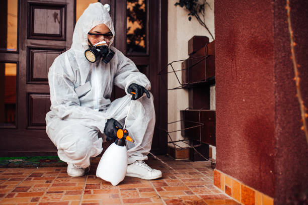 Attic and Crawl Space Rodent Treatment in Holiday Island